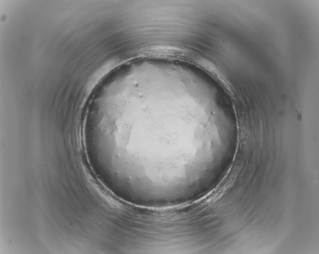 X0000072991083200608111801