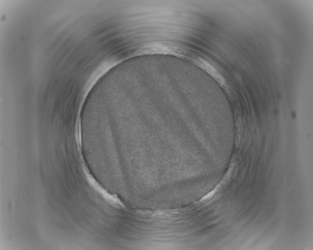 X0000072991084200608111801