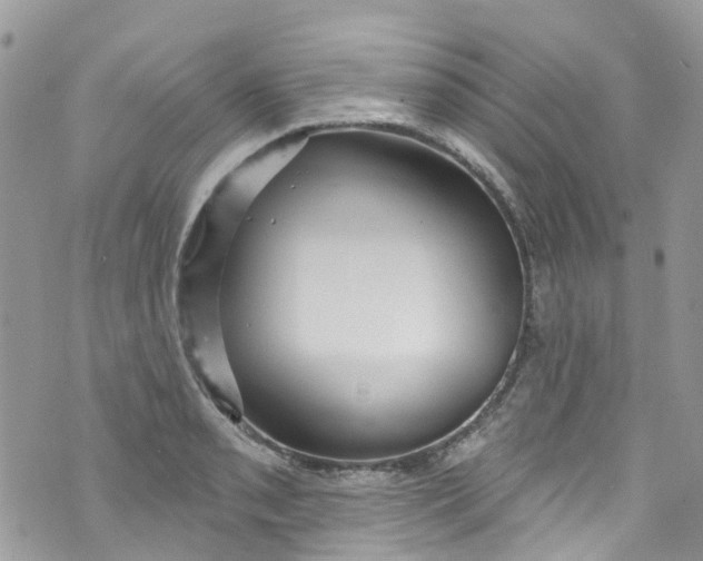 X0000072991085200608111801