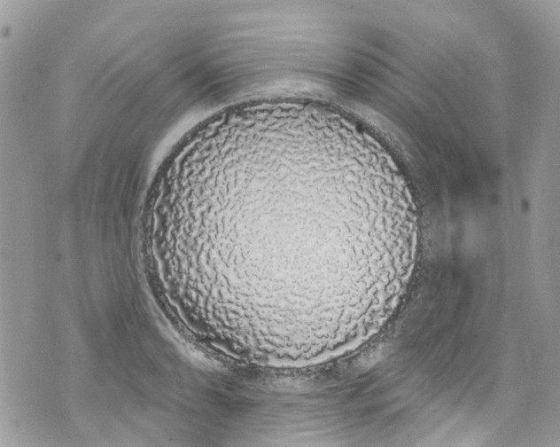 X0000072991086200608111801