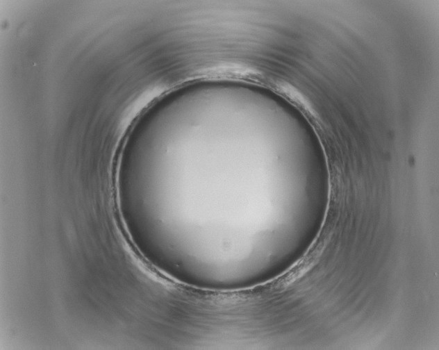 X0000072991087200608111801