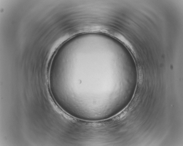 X0000072991088200608111801