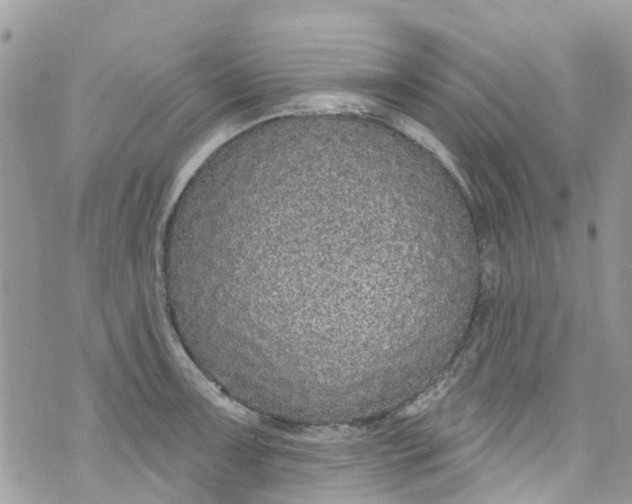 X0000072991091200608111801