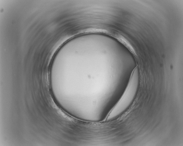 X0000072991092200608111801