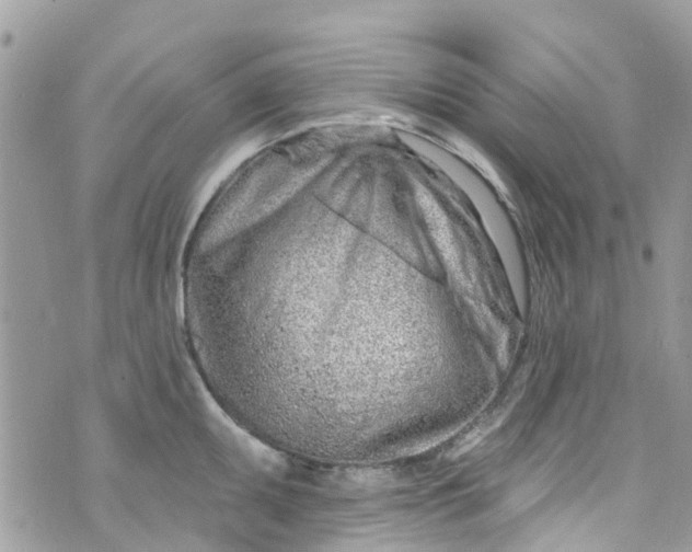 X0000072991095200608111801