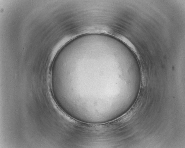 X0000072991096200608111801