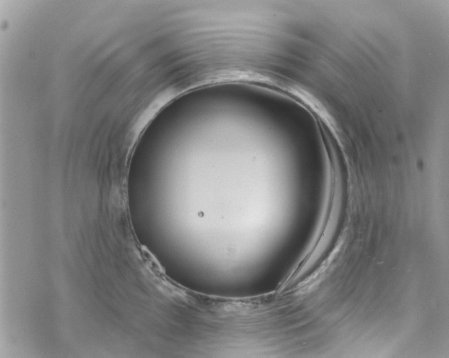 X0000072991097200608111801