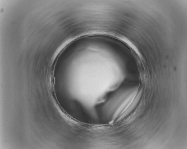 X0000072991101200608111801