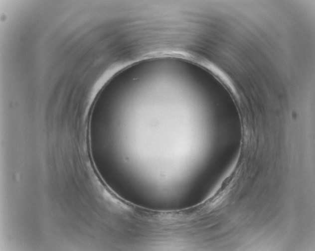 X0000072991102200608111801