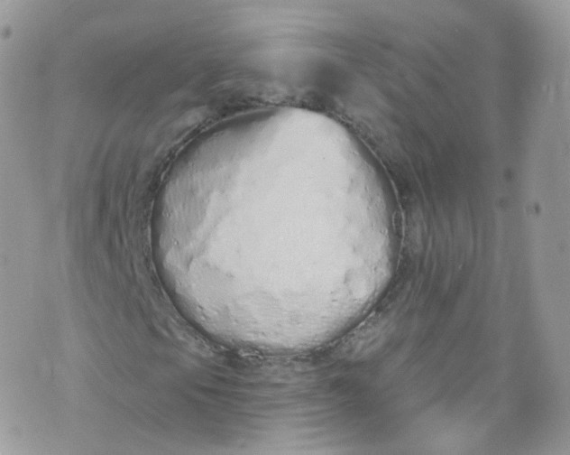 X0000072991105200608111800