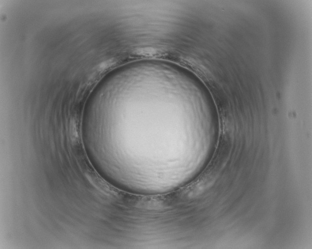 X0000072991106200608111800