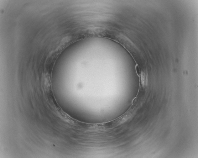 X0000072991107200608111800