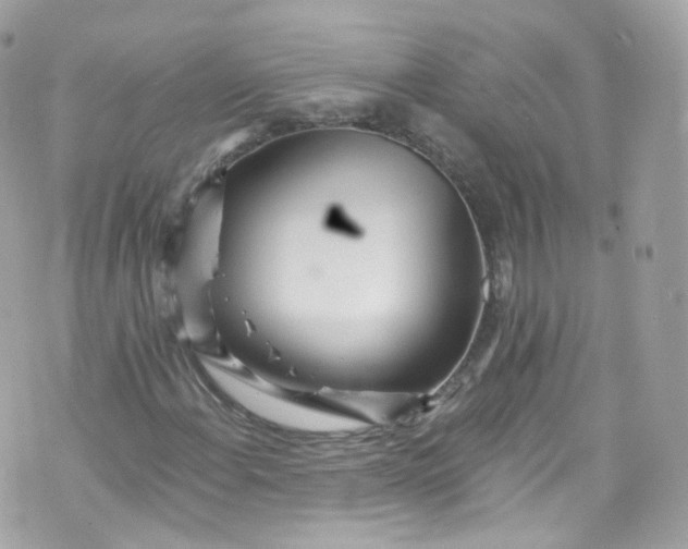 X0000072991108200608111800