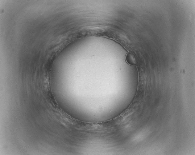 X0000072991109200608111800