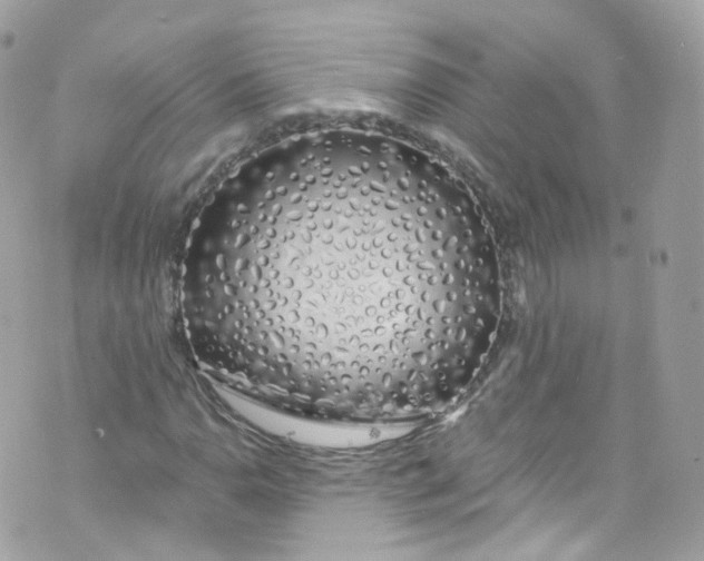 X0000072991110200608111800