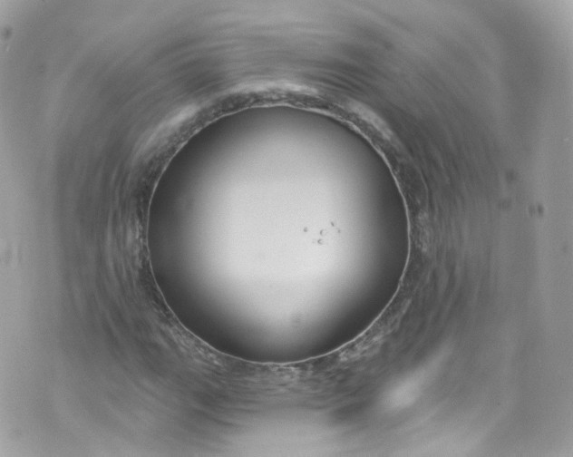 X0000072991111200608111800