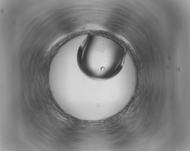 X0000072991112200608111800