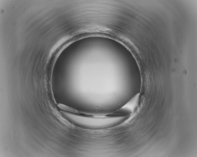 X0000072991114200608111800