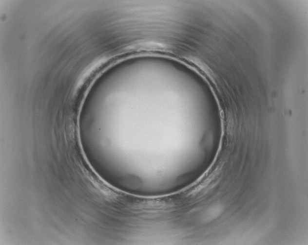 X0000072991115200608111800