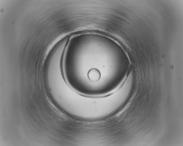 X0000072991118200608111800