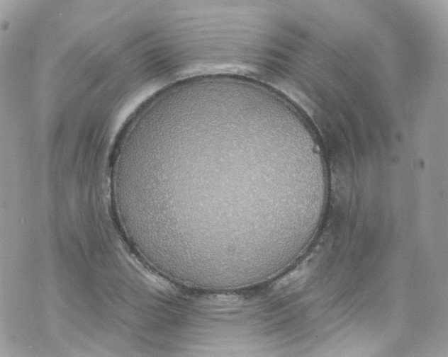 X0000072991119200608111800