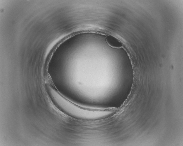 X0000072991120200608111800