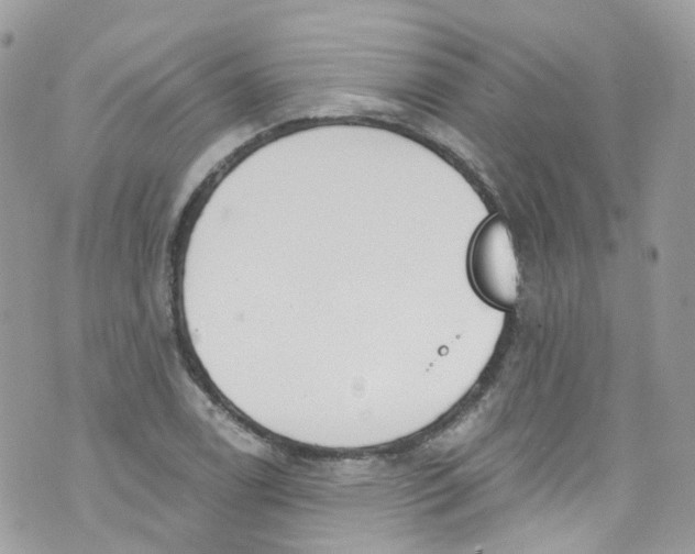 X0000072991122200608111800