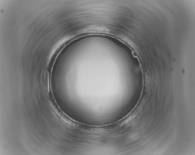 X0000072991123200608111800