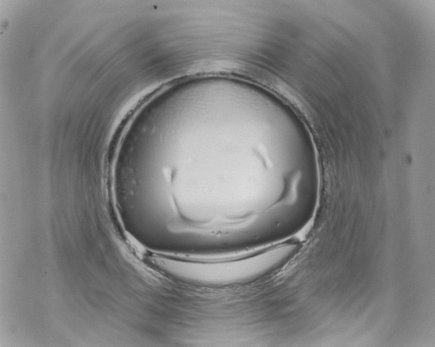 X0000072991124200608111800