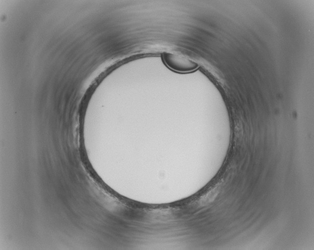 X0000072991126200608111800