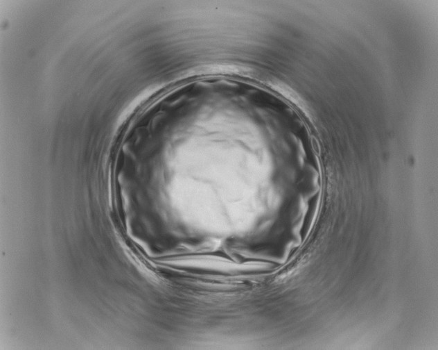 X0000072991127200608111800