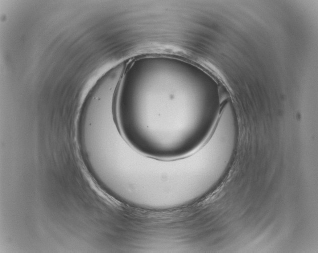 X0000072991128200608111800