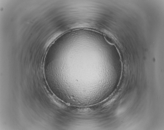 X0000072991129200608111800