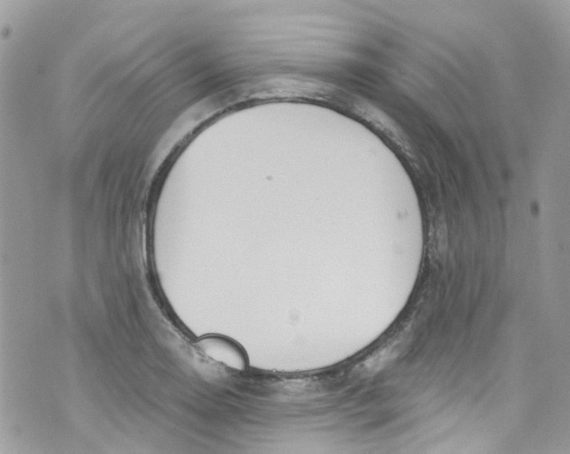 X0000072991130200608111800