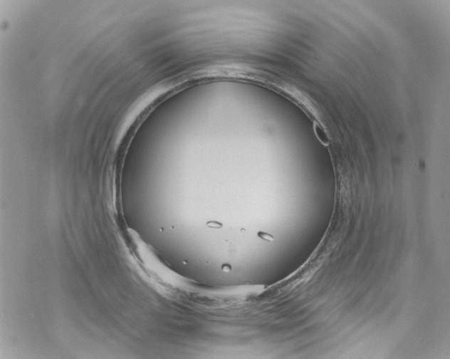 X0000072991131200608111800