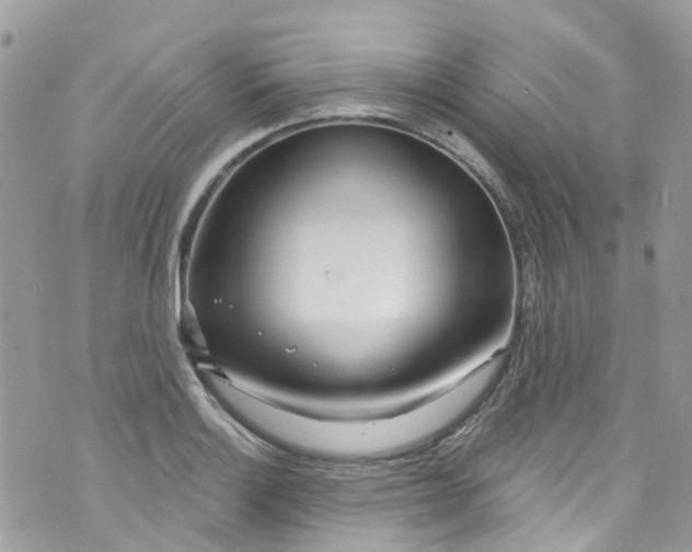 X0000072991132200608111800