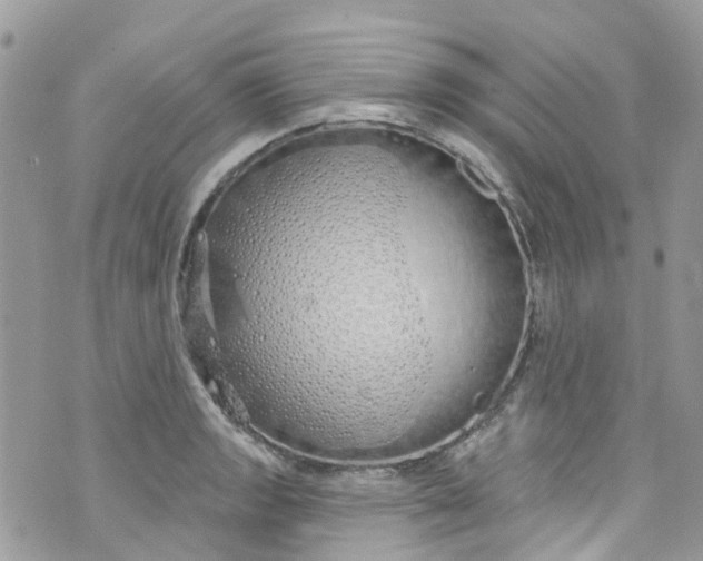 X0000072991133200608111800