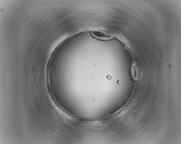 X0000072991135200608111800