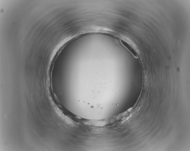 X0000072991136200608111800