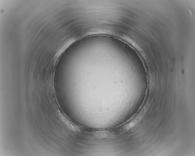 X0000072991137200608111800