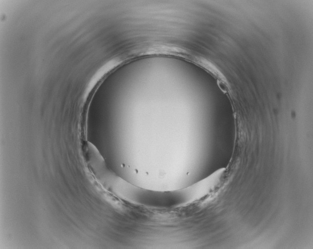 X0000072991138200608111800