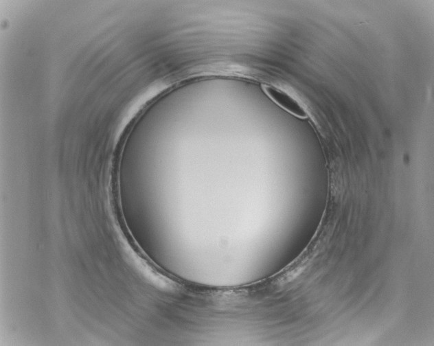 X0000072991139200608111800