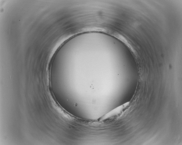 X0000072991140200608111800