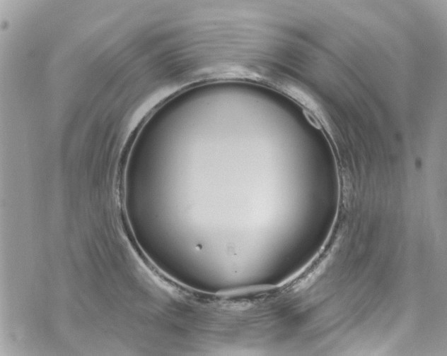 X0000072991141200608111800