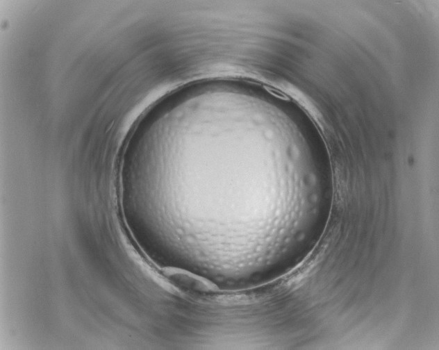 X0000072991142200608111800