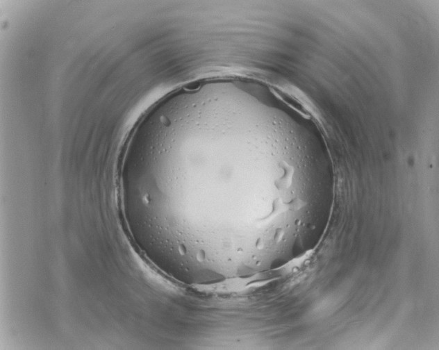 X0000072991143200608111800