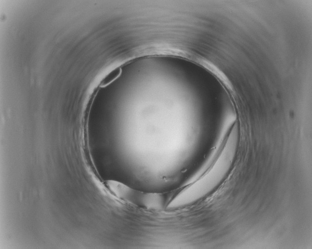 X0000072991144200608111800