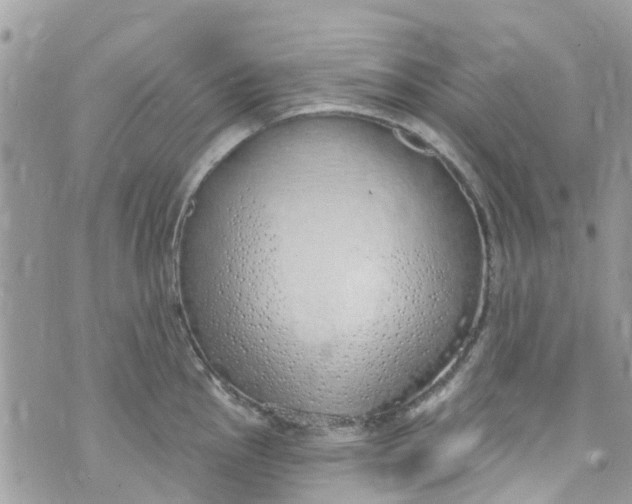 X0000072991145200608111800