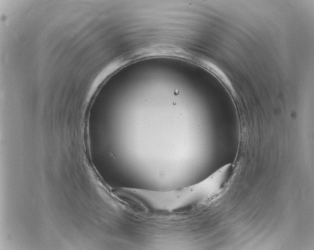 X0000072991146200608111800