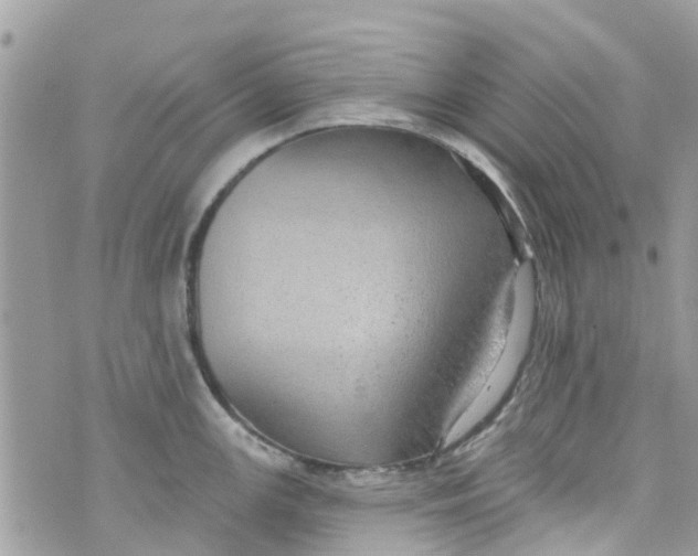 X0000072991147200608111800